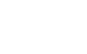 Aerohart Flight